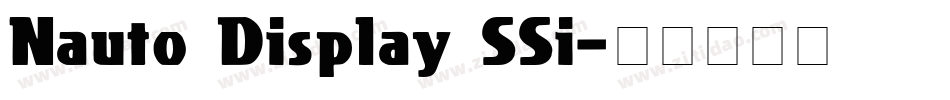 Nauto Display SSi字体转换